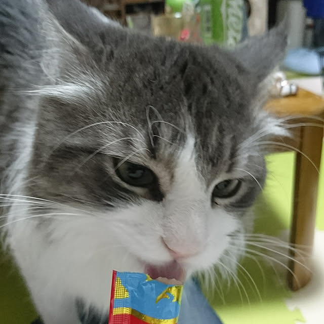 shinobuさんの実例写真
