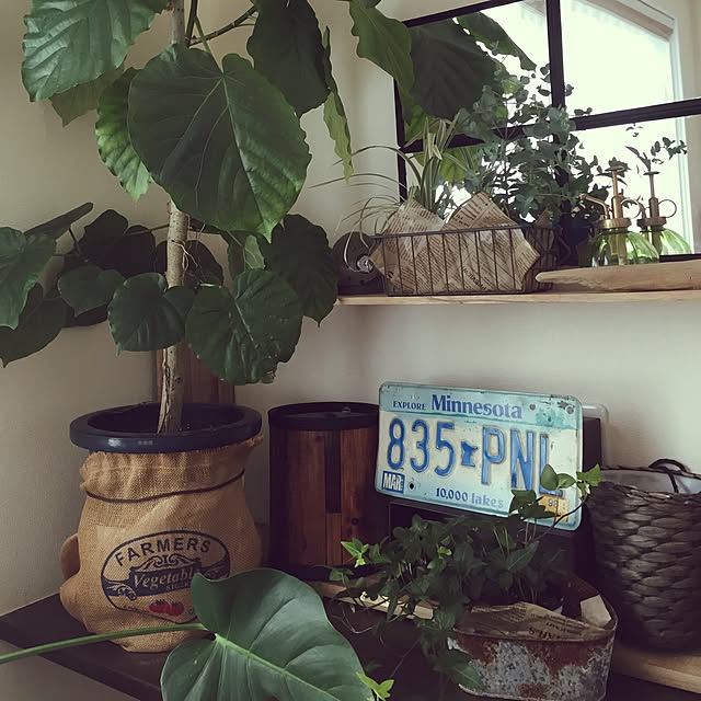 mamizoさんの実例写真