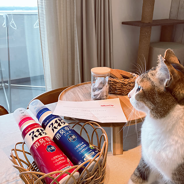 nekomiさんの実例写真