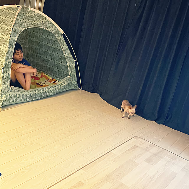 ohanaさんの実例写真