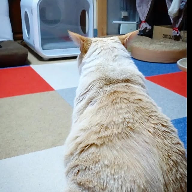 mntcさんの部屋