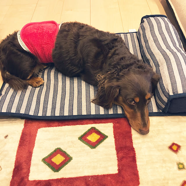 satonoriさんの実例写真