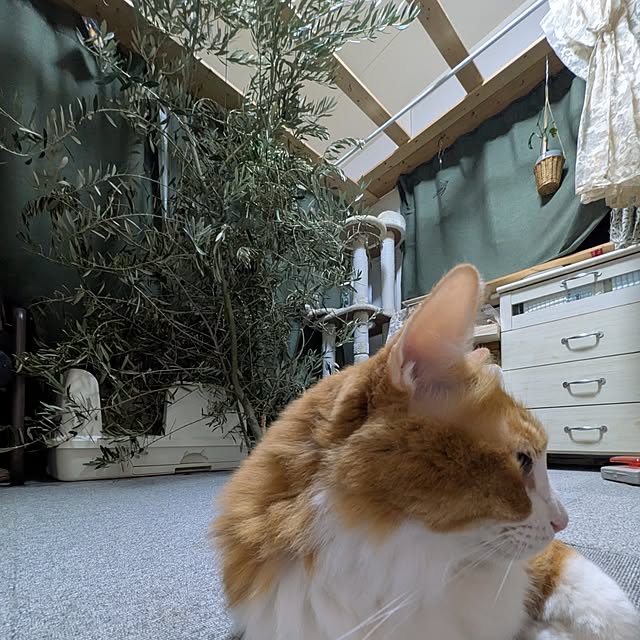 mori_6_12さんの部屋