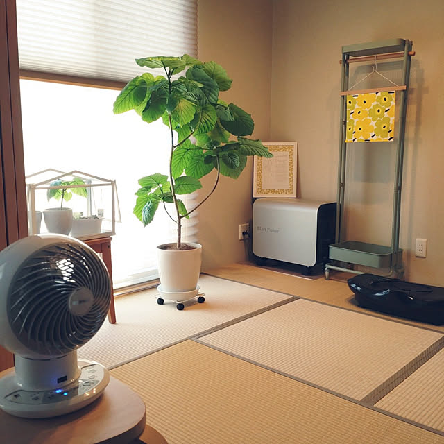 tan5さんの実例写真