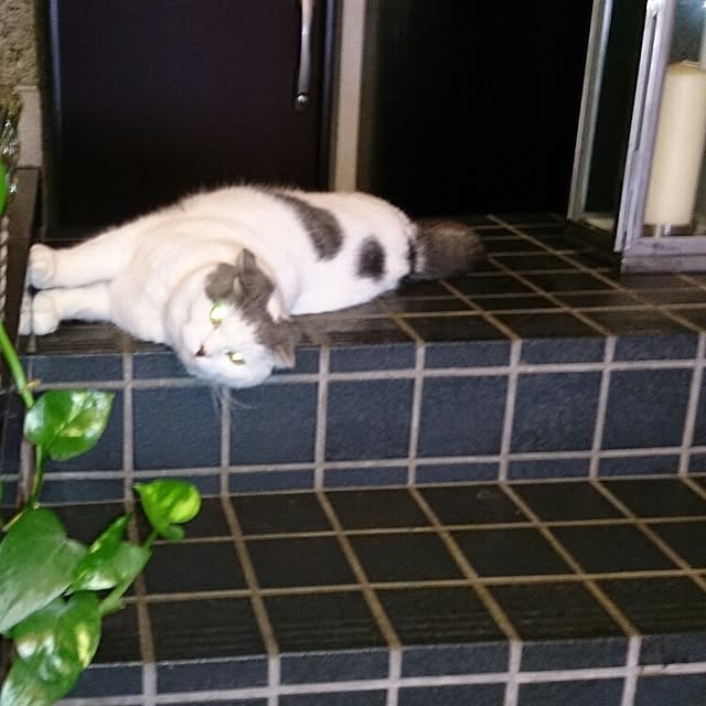 mayuさんの実例写真