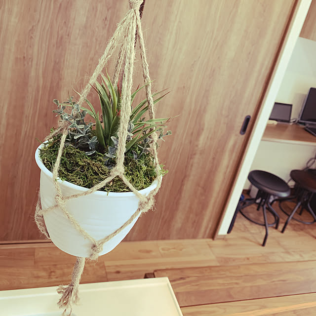 harutanさんの実例写真
