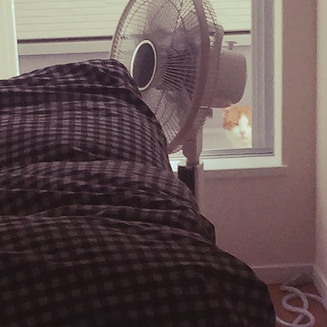 myk93さんの実例写真