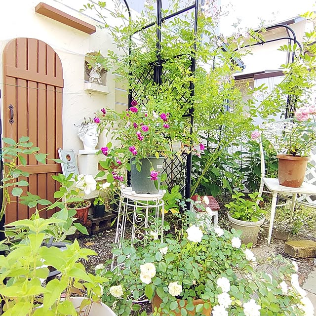 Bienvenueさんの部屋
