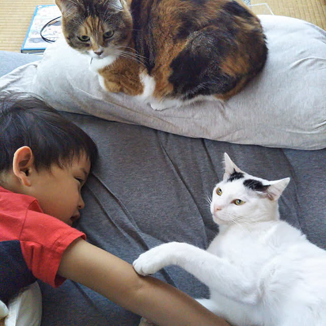 yukieさんの実例写真