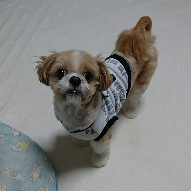 ronさんの実例写真