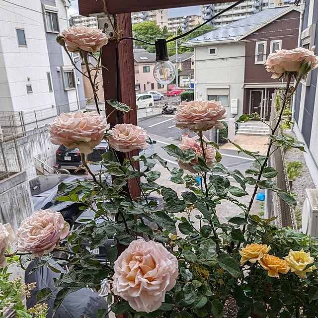 kazuさんの部屋