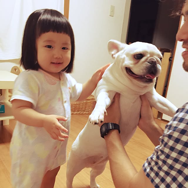 sorasakuさんの実例写真