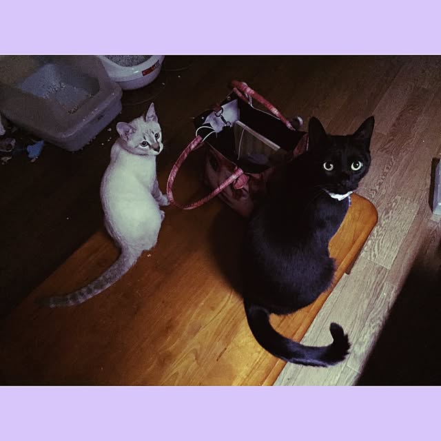 KATE666さんの実例写真