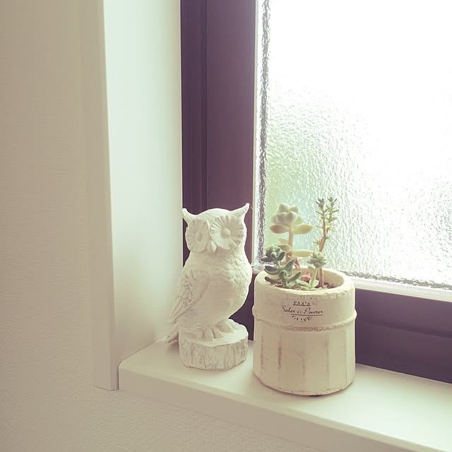 Rieさんの実例写真