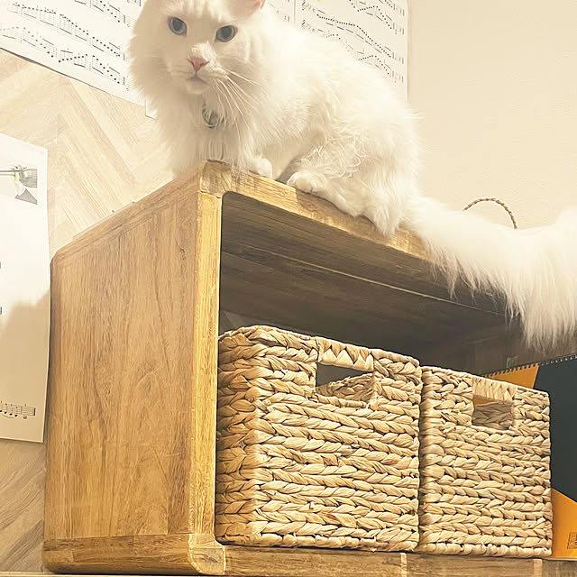Lionaさんの実例写真