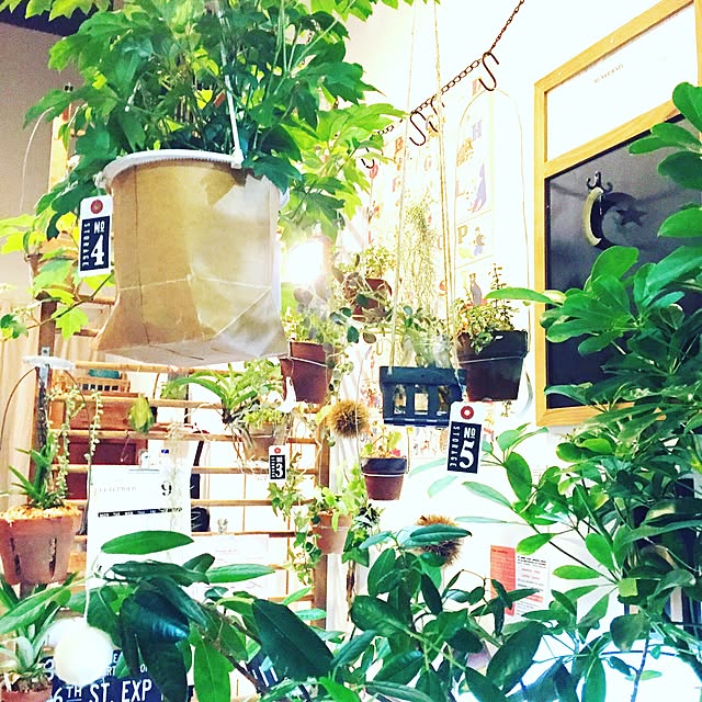 ai-nanairoさんの実例写真
