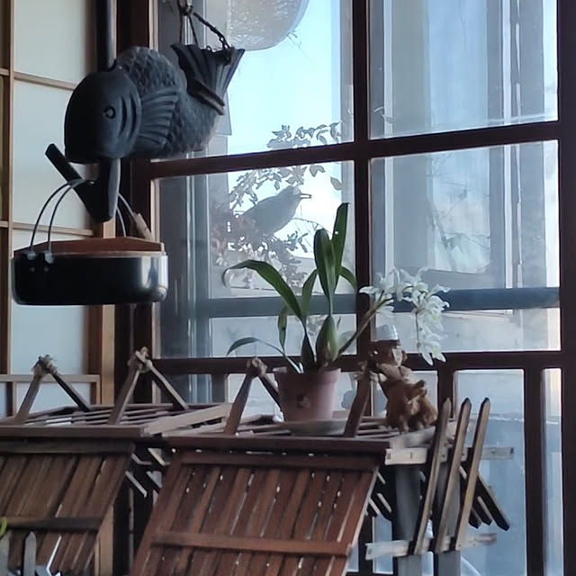 RIERINさんの実例写真