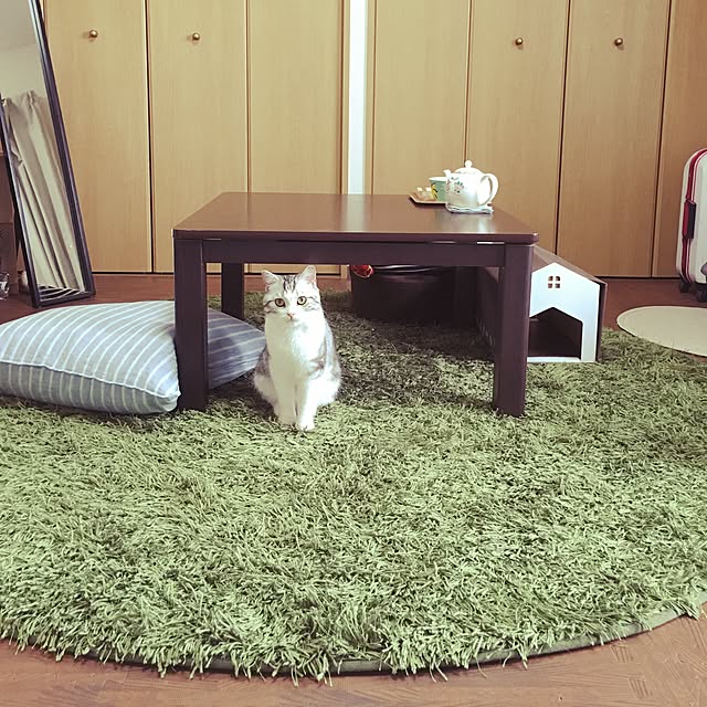 narashimhaさんの実例写真