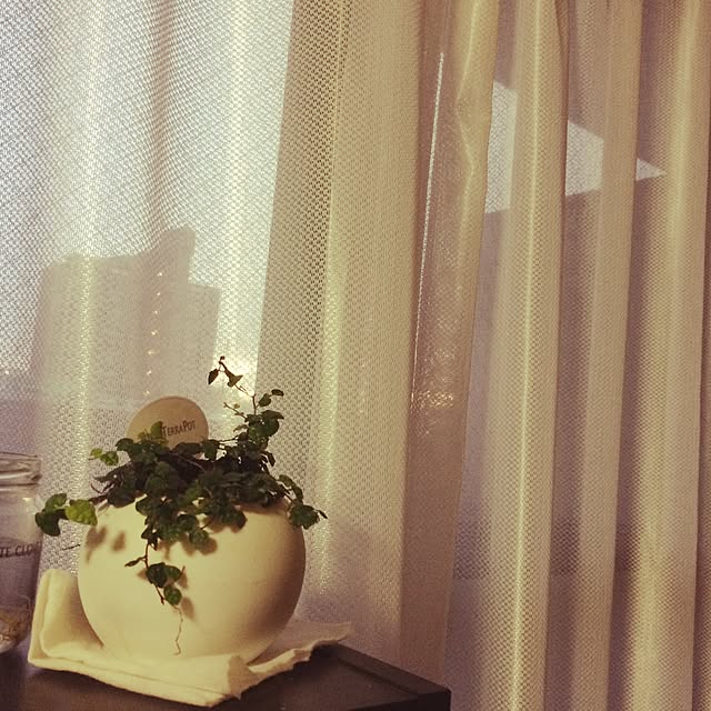 punpさんの実例写真