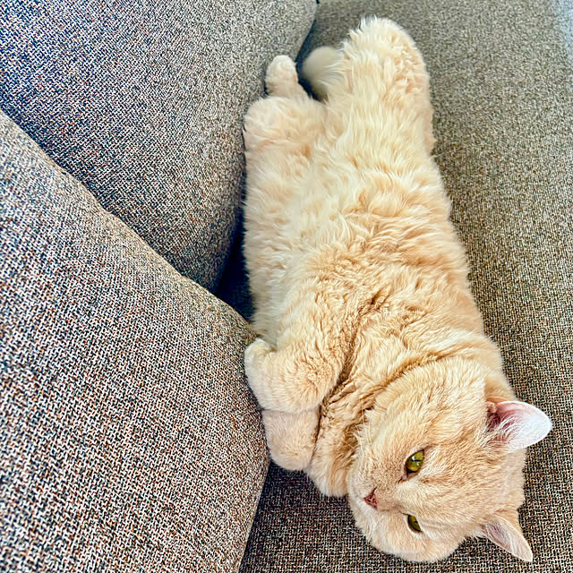 naokoさんの部屋