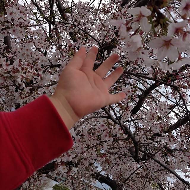 KEROさんの実例写真