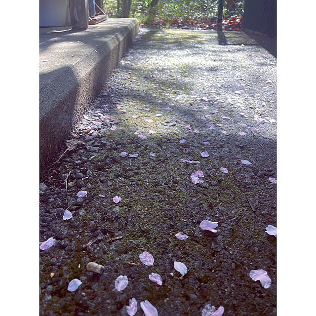 marucoさんの部屋