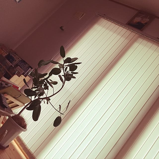Hal.gさんの実例写真