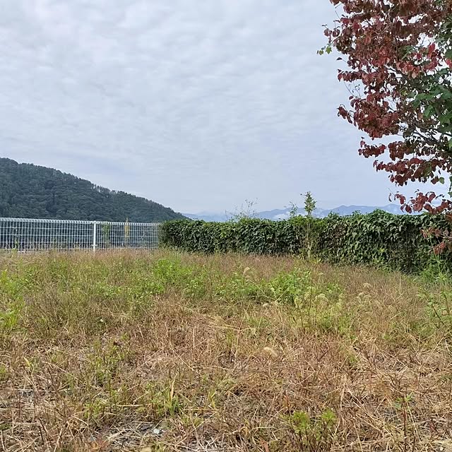 nakasanさんの実例写真