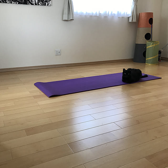 shizi195さんの実例写真