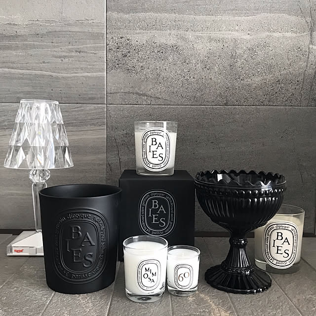 ラージ キャンドル べ 600g | Diptyque Paris
