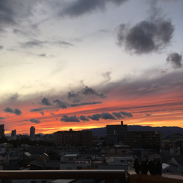 simple_blowbackさんの実例写真