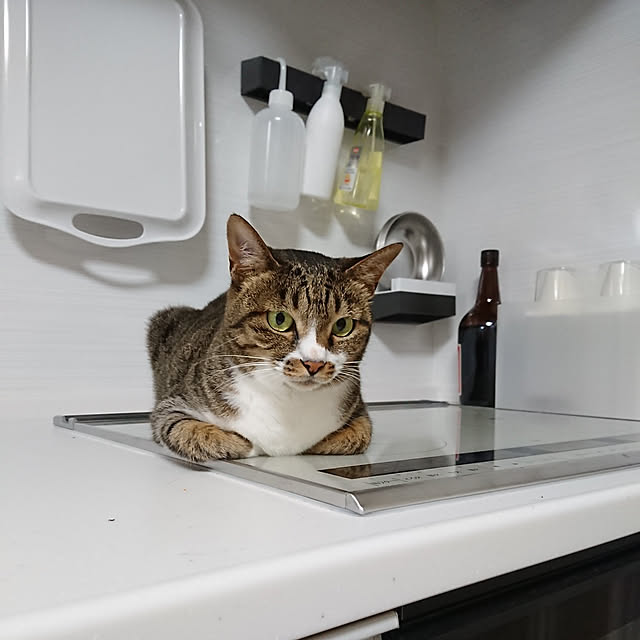 nachiさんの実例写真