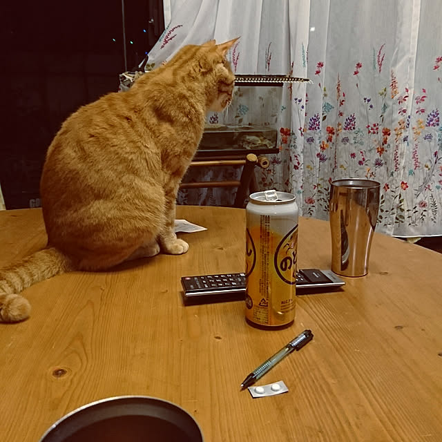 okyosan101さんの実例写真