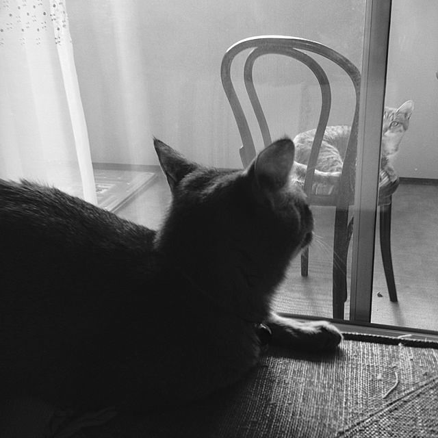 1633さんの実例写真