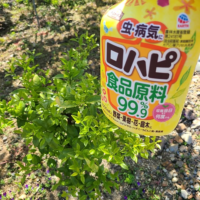 Rubiconさんの部屋
