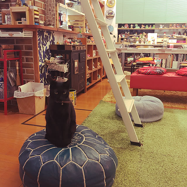 jijiさんの実例写真