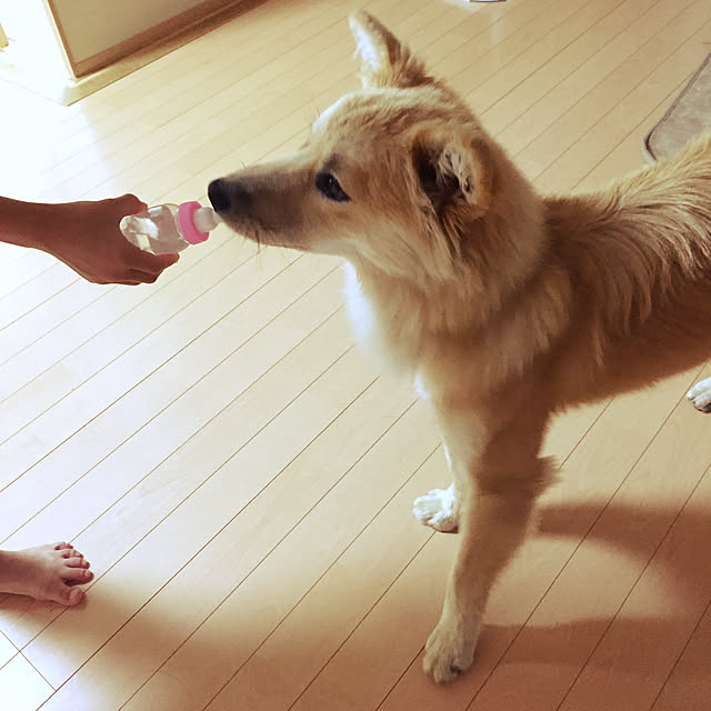 kaoriさんの実例写真