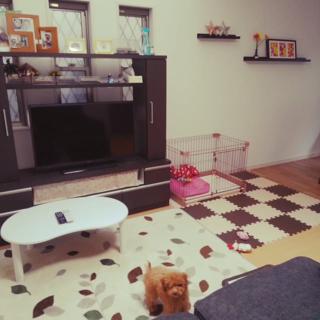 akiasaさんの実例写真