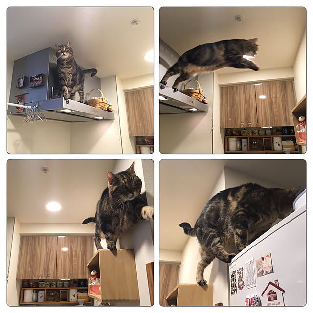 mikomaruさんの実例写真