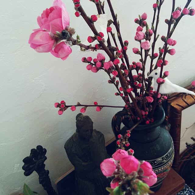 naraさんの実例写真