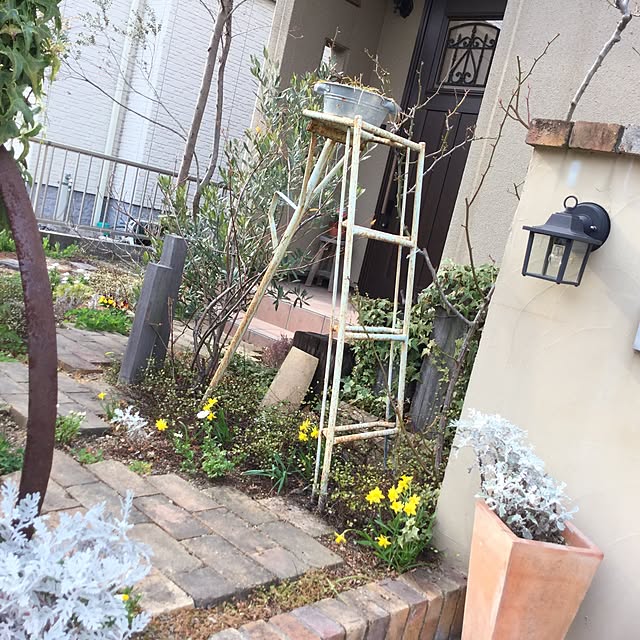 mippoko345さんの実例写真