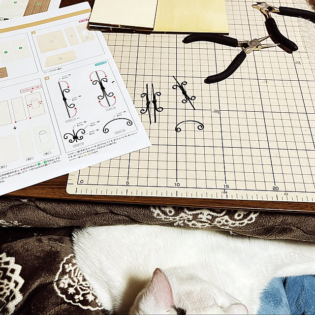 nekosomurieさんの実例写真