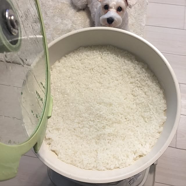 suzyさんの実例写真