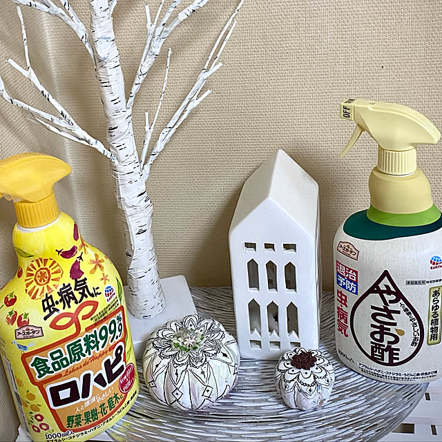 YuuKoさんの実例写真