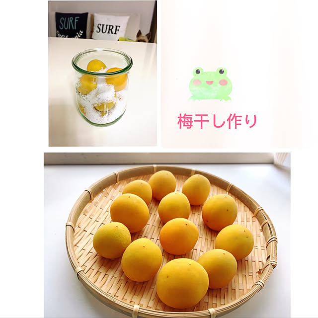 実例写真
