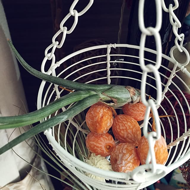 A-caneさんの実例写真