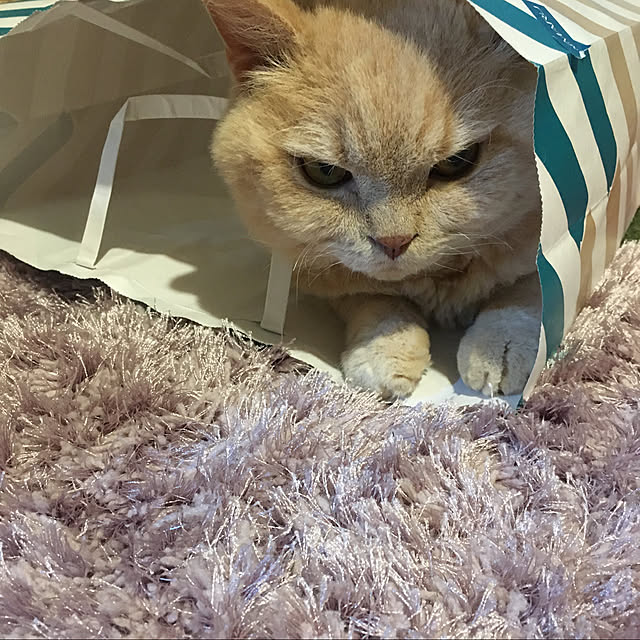 naokoさんの実例写真