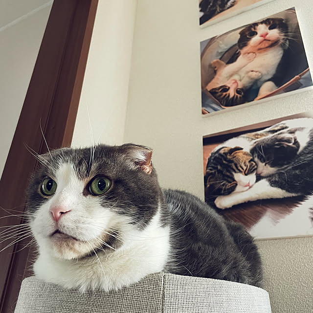 tansukeさんの部屋