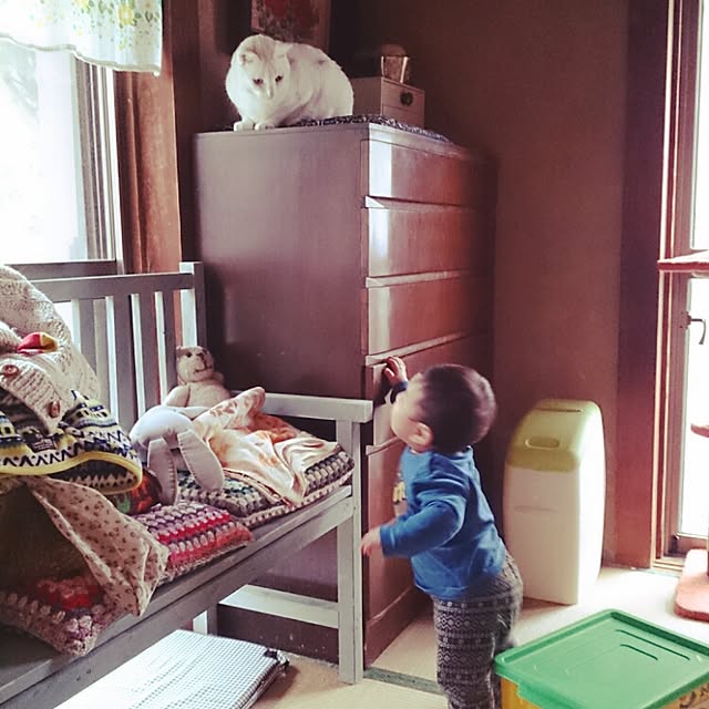 amifuuさんの実例写真