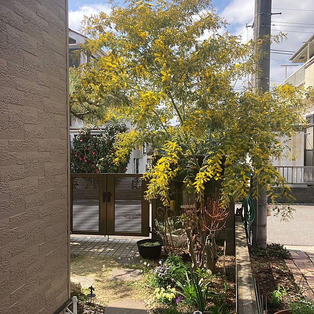 mamaさんの実例写真